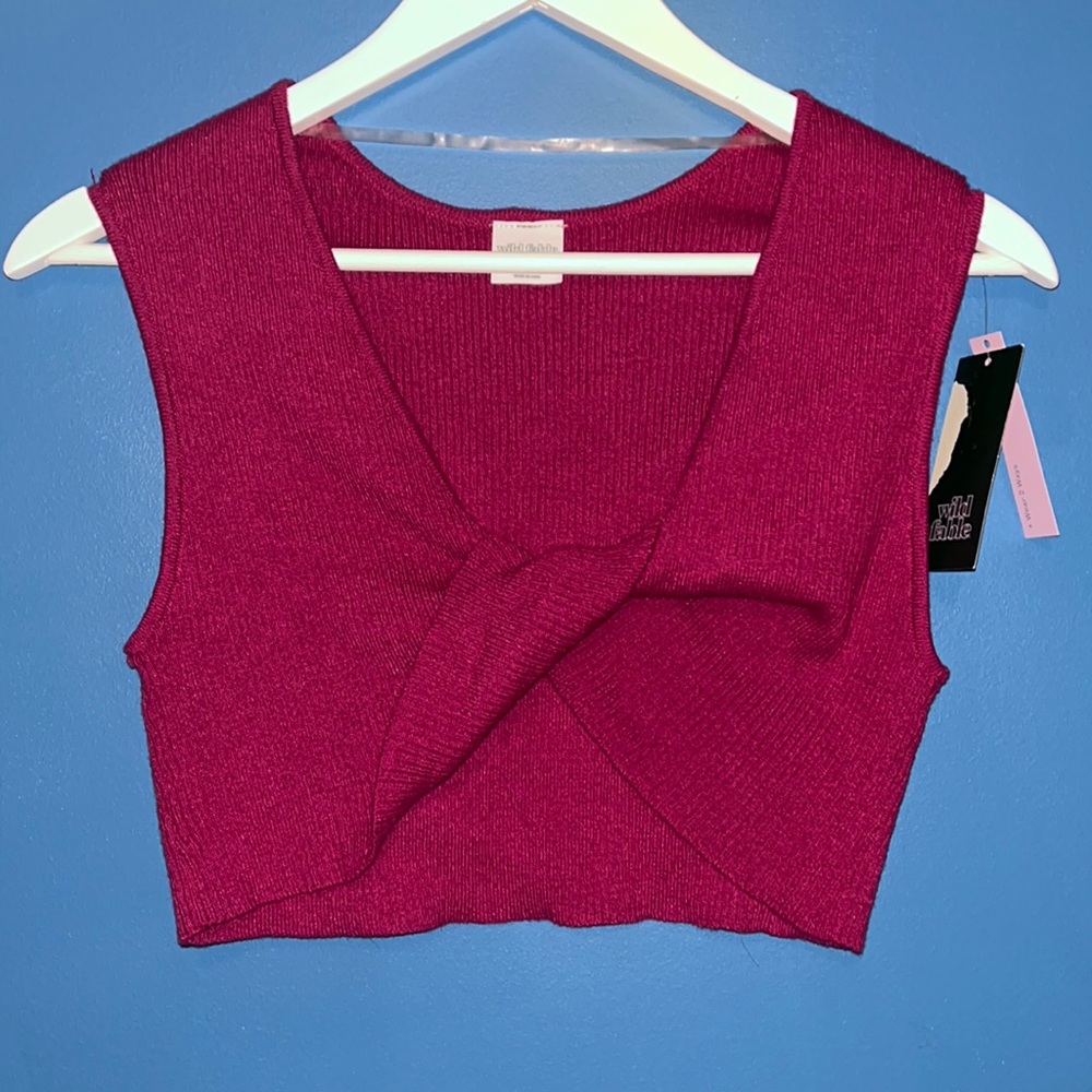 PLUM PURPLE WILD FABLE CROP TOP